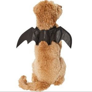 Bat Wings for Dog